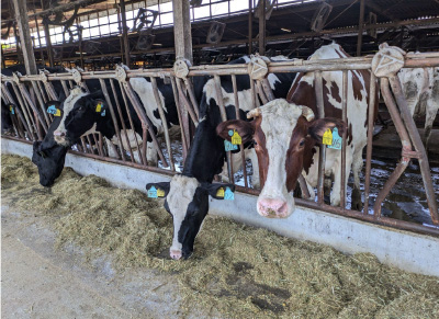 畜産施設の臭気対策について3